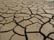 Haïti - Environnement : L'ONU appelle à la lutte contre la désertification en Haïti