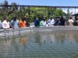 Haiti - Politics : Moïse seeks to encourage investment