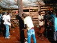 Haiti - Social : The construction of social housing in Fond Rouge becomes a reality