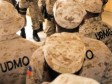 Haïti - Sécurité : 2 agents de l'UDMO tombent sous les balles