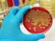 Haiti - Health : Diphtheria kills in Haiti...