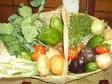 Haiti - Economy : The cost of the food basket continues to increase