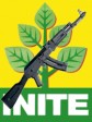 Haiti - Elections : Democracy by force of arms ?