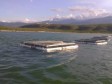 Haiti - Agriculture : Aquaculture next pillar of food production in the country