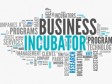 Haiti - Economy : 25 business creation projects selected