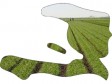 Haiti - FAO : Relaunch the agricultural production