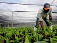 Haiti - Agriculture : CALL FOR PROJECTS, Food Aid Program of the French Embassy