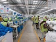 Haiti - Economy : The clothing sector partners with IFC to stimulate the growth of the sector