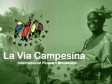 Haiti - Agriculture : 76 young farmers trained in agro ecology, returns home...