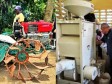 Haiti - Mechanization : Taiwan partners with Haitian farmers