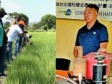 Haiti - Agriculture : Taiwan shares knowledge to help increase rice harvests in Haiti
