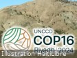 Haiti - COP16 Riyadh 2024 : Positioning of the Ministry of the Environment
