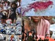 Haiti - Humanitarian : The country team deeply alarmed and dismayed