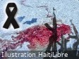 Haiti - FLASH : One Haitian killed or injured every hour