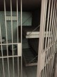 Haiti - Social : Some detainees should benefit from the presidential pardon