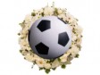 Haiti - Football : The FHF pays tribute to Jacques Edouard Céance