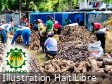 The agroforestry fair in Limbé keeps its promises