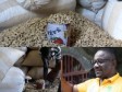 Strengthening peanut production in Durcis, Haiti