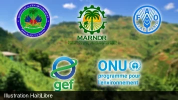Haïti - Agriculture : Restauration des écosystèmes pour renforcer la résilience climatique