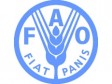Haiti - Agriculture : FAO distributes seeds... of the discord...