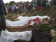 Haiti - Social : A police operation goes wrong at The Park La visite