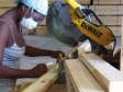 Haiti - Economy : Support of United Nations, employment in Haiti (2012)