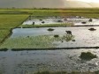 Haiti - Agriculture : Rehabilitation of irrigation channel in Nan Valette