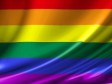 Haiti - Social : The IACHR condemns the recent wave of violence against LGBT