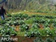 Haïti - Agriculture : L’année agricole 2013-2014 promet d’être bonne